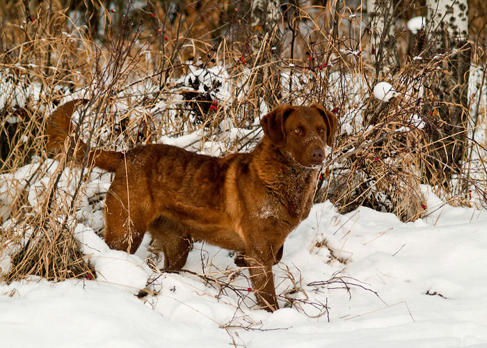 %_tempFileNameLaker-111%