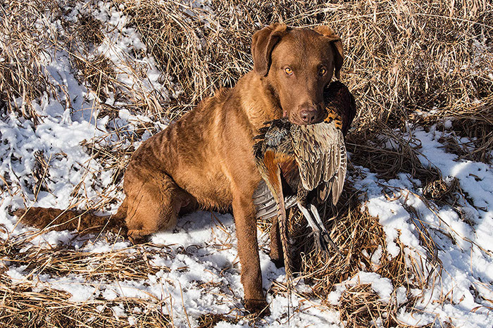 %_tempFileNameLaker-264%