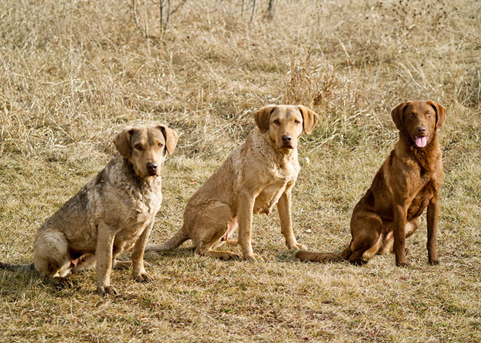 %_tempFileNameRiley-(mother)-Winnie-(daughter)-Laker-(daughter)%