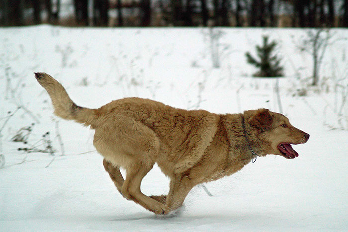 %_tempFileNameWinnie-romping%